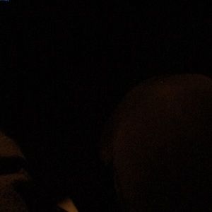 Meet your Posher, Madelyn